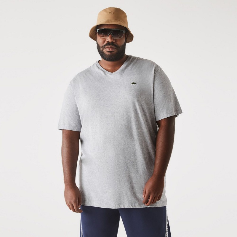 Men's Lacoste Tall Fit Ribbed V-Neck Cotton T-Shirt Grey Chine | SLX846723