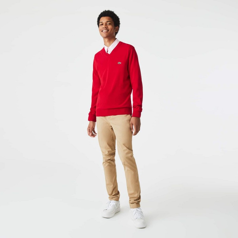 Men's Lacoste V-Neck Organic Cotton Sweater Red | OHN035968