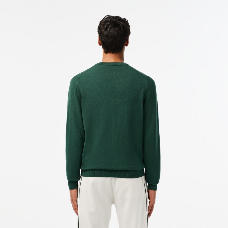 Men's Lacoste V-Neck Organic Cotton Sweater Forest green | BUT234670