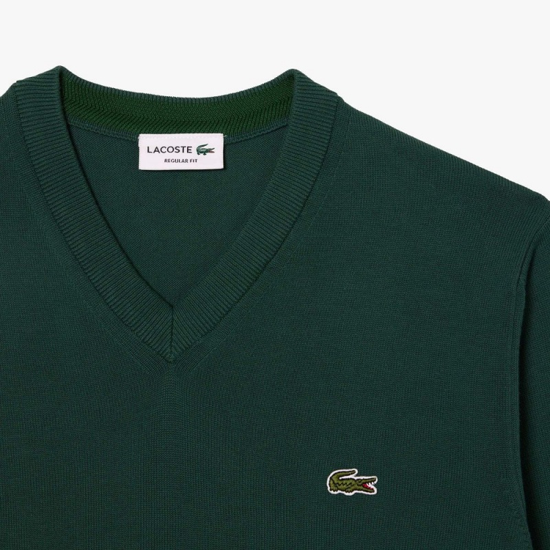 Men's Lacoste V-Neck Organic Cotton Sweater Forest green | BUT234670