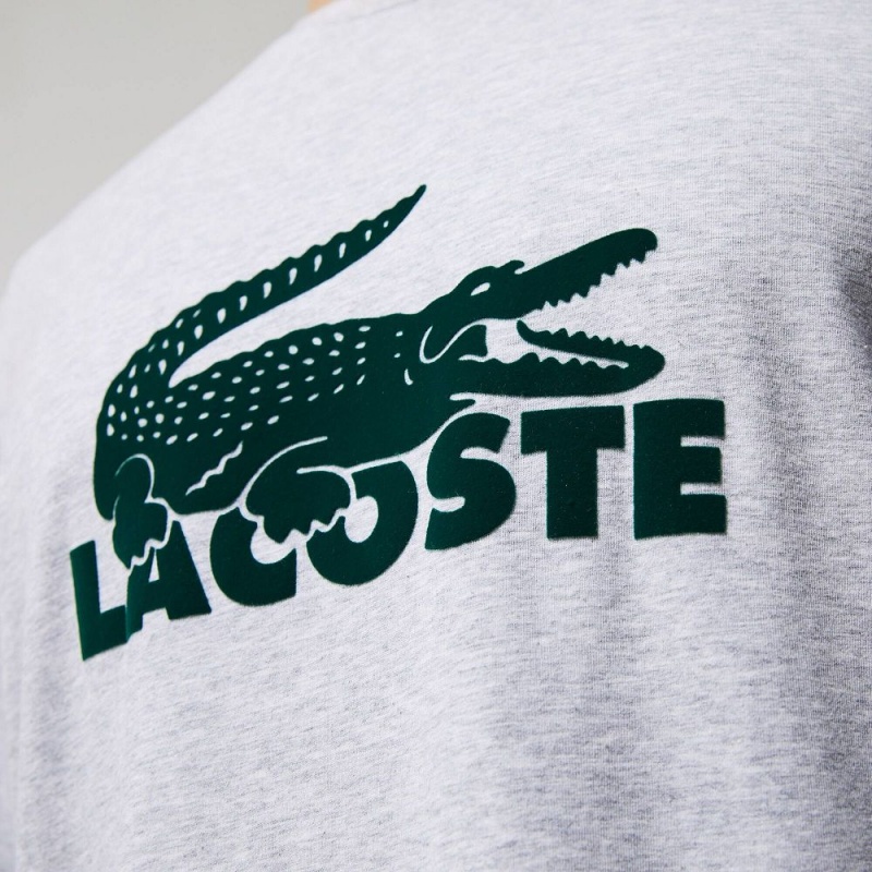 Men's Lacoste Velvet Logo Long Set Pajamas Navy Blue Grey Chine Green | ATP149836