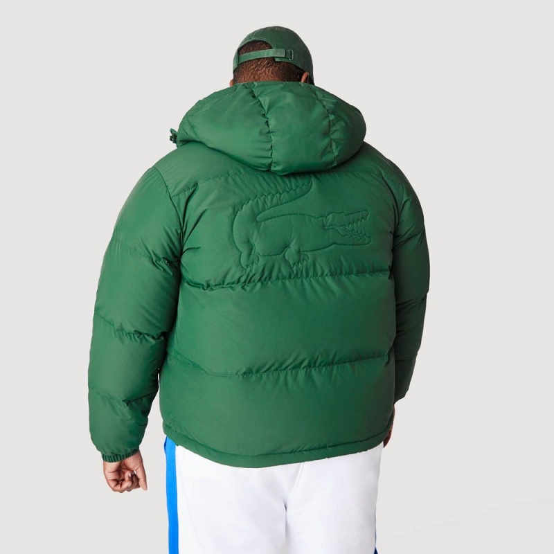 Men's Lacoste Water-Repellent Puffer Jackets Pine green | RNS842605