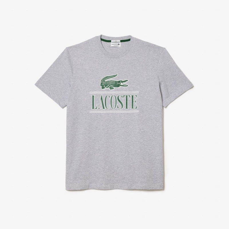 Women's Lacoste Regular Fit Heavy Cotton Jersey T-Shirt Grey Chine | SLX530628