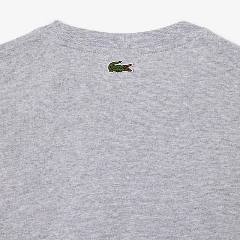 Women's Lacoste Regular Fit Heavy Cotton Jersey T-Shirt Grey Chine | SLX530628