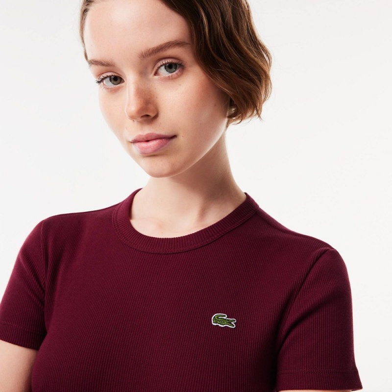 Women's Lacoste Slim Fit Ribbed Cotton T-Shirt Bordeaux | MUR415608