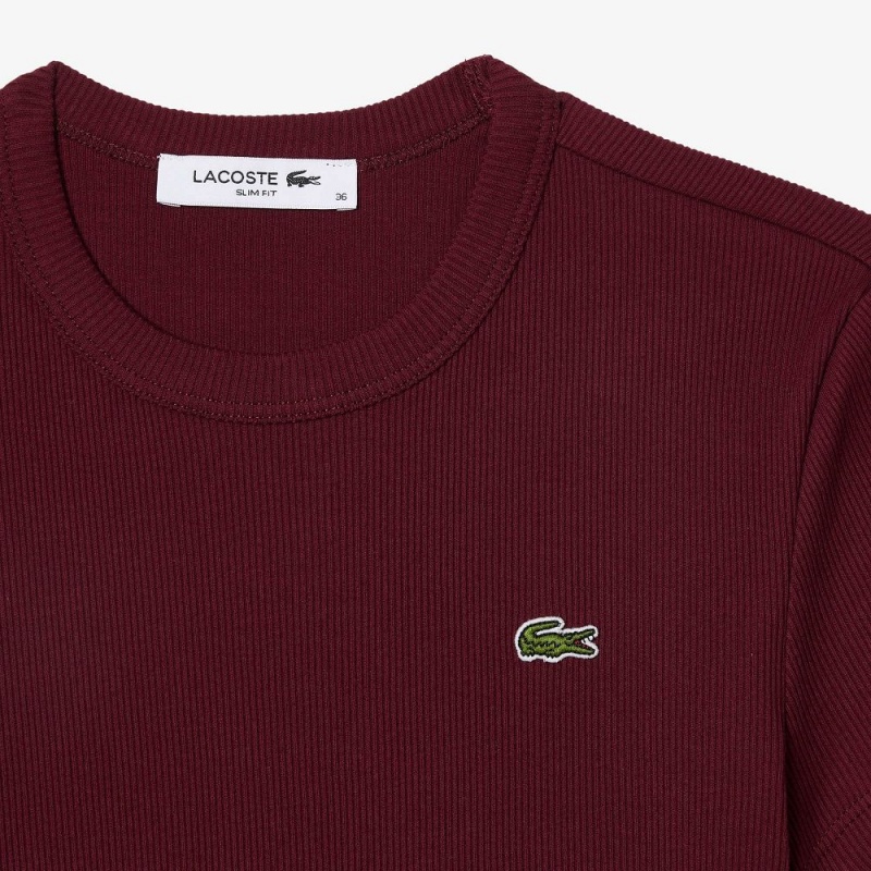 Women's Lacoste Slim Fit Ribbed Cotton T-Shirt Bordeaux | MUR415608