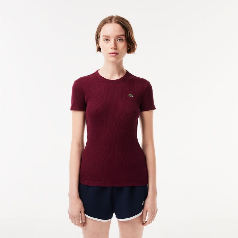 Women\'s Lacoste Slim Fit Ribbed Cotton T-Shirt Bordeaux | MUR415608